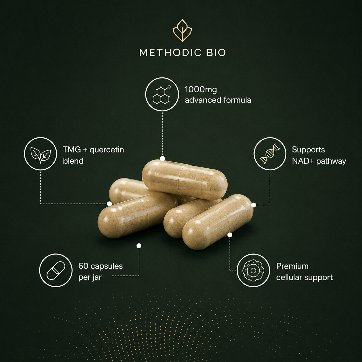 NMN NAD+ Support: 1 Bottle (One-Time Order)